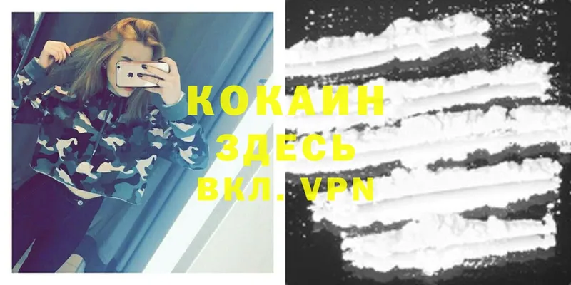 КОКАИН VHQ  Камень-на-Оби 